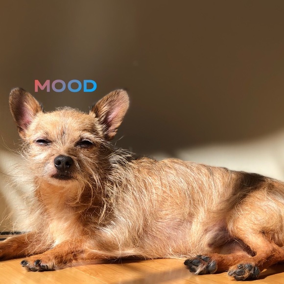 Meet the Seller: siguah! - Picture 7 of 9